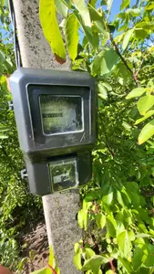 Рівна ділянка 15 соток заїзд через Рибцях (вул. Олімпійську) — мініатюра фото 6