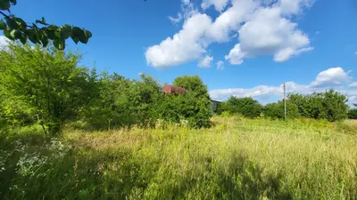 Рівна ділянка 15 соток заїзд через Рибцях (вул. Олімпійську) — мініатюра фото 8