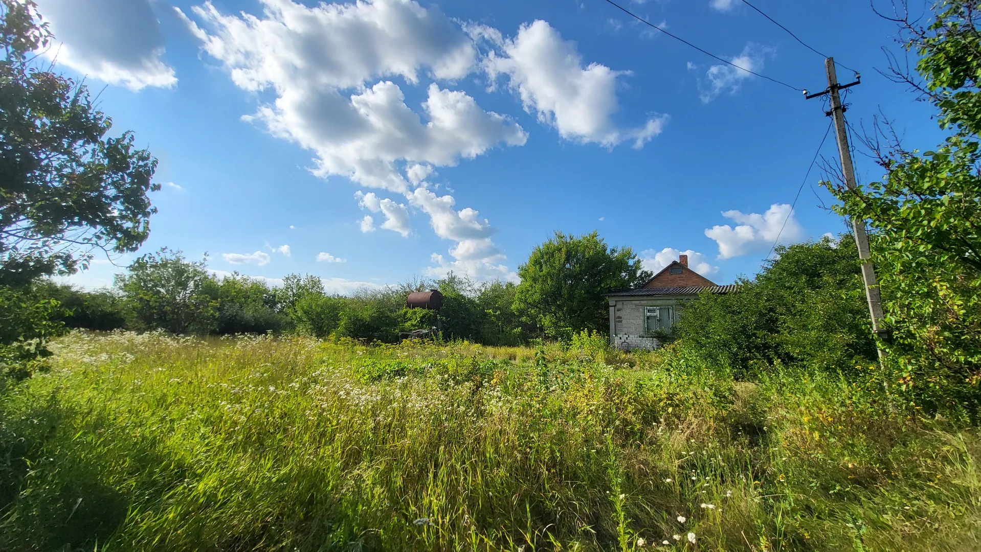 Рівна ділянка 15 соток заїзд через Рибцях (вул. Олімпійську) — фото 10 з 12