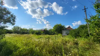 Рівна ділянка 15 соток заїзд через Рибцях (вул. Олімпійську) — мініатюра фото 10
