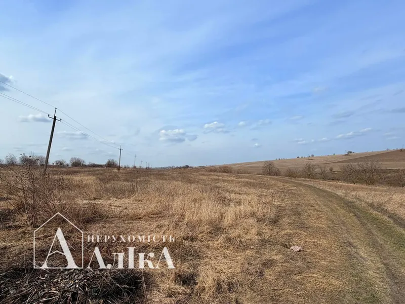 Продам велику земельну ділянку під забудову — фото 3 з 5