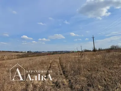 Продам велику земельну ділянку під забудову — мініатюра фото 4