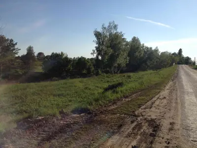 Обухівський район, с.Іванковичі. 20 соток або 99 соток — мініатюра фото 5