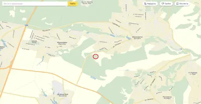Обухівський район, с.Іванковичі. 20 соток або 99 соток — мініатюра фото 8