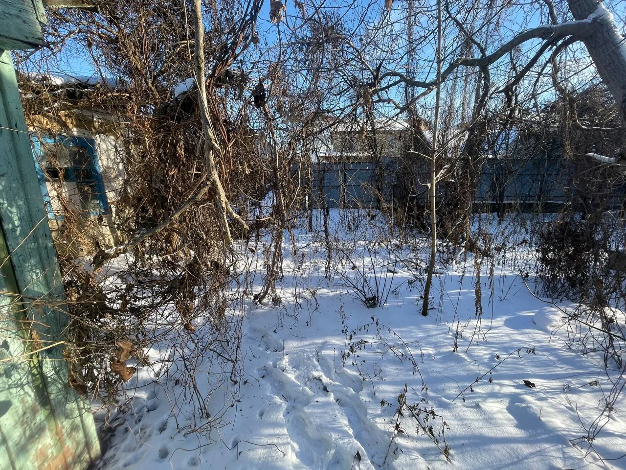 Святошинський р-н, В.Романюка, 15. 10 соток, м.Академмістечко-500 м. — фото 15 з 17