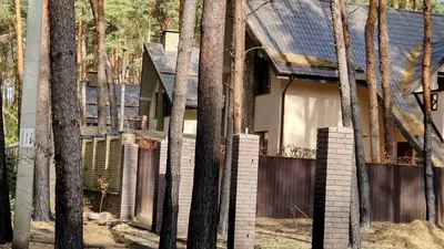Продам ділянку у лісі с. Пісчанка, вул. Зелена. — мініатюра фото 6