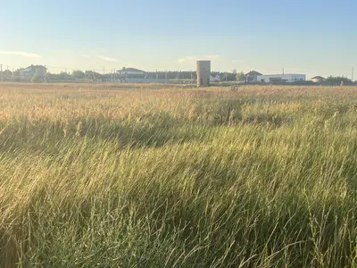 Продам земельну ділянку 8сот. біля лісу та озера — мініатюра фото 1