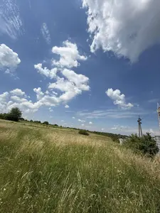 Продаж земельної ділянка 1Га , с.Деревач, біля траси  та заправки — мініатюра фото 3