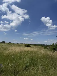 Продаж земельної ділянка 1Га , с.Деревач, біля траси  та заправки — мініатюра фото 7