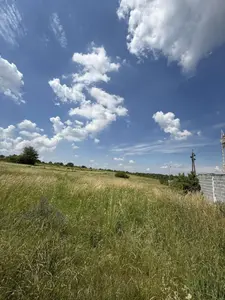 Продаж земельної ділянка 1Га , с.Деревач, біля траси  та заправки — мініатюра фото 8