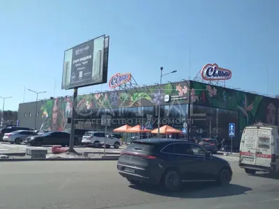 Продається земельна ділянка площею 25,0 соток у престижному передмісті Києва — с. Лісники — мініатюра фото 2
