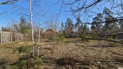 Продаж земельної ділянки в ЦЕНТРАЛЬНІЙ частині Клавдієво-Тарасове — мініатюра фото 3