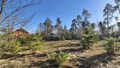 Продаж земельної ділянки в ЦЕНТРАЛЬНІЙ частині Клавдієво-Тарасове — мініатюра фото 8
