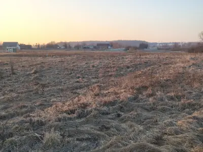 Продаж земельної ділянки, 15 соток, сільгосппризначення — мініатюра фото 6