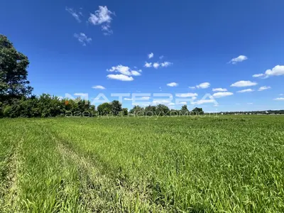 Продаж ділянки 1.6 Га в Гореничах 3 фасади Перспектива під промисловість та комерцію — мініатюра фото 7
