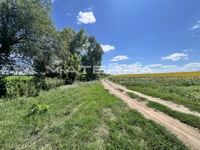 Продаж ділянки 1.6 Га в Гореничах 3 фасади Перспектива під промисловість та комерцію — мініатюра фото 10