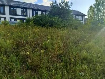 Земельна ділянка під забудову, Окружна 19 — мініатюра фото 3