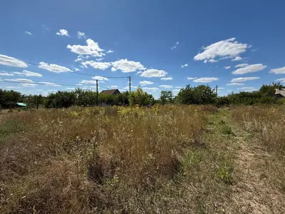 Продаж ділянки 10 соток, заїзд через Рибці — мініатюра фото 6