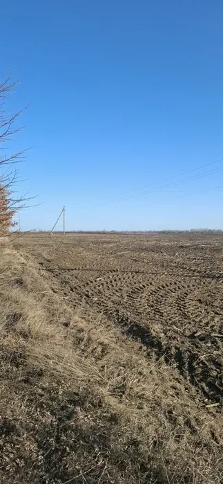 Земельна ділянка Бориспільський р-н. 6,87га. — фото 3 з 3
