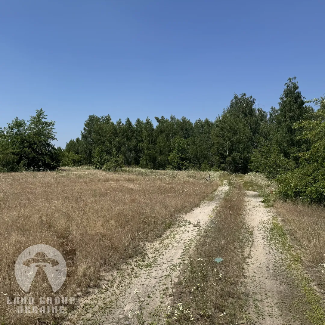 10 соток під будівництво | Куба Дмитрівка | Біля лісу — фото 3 з 7