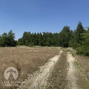 10 соток під будівництво | Куба Дмитрівка | Біля лісу — мініатюра фото 3