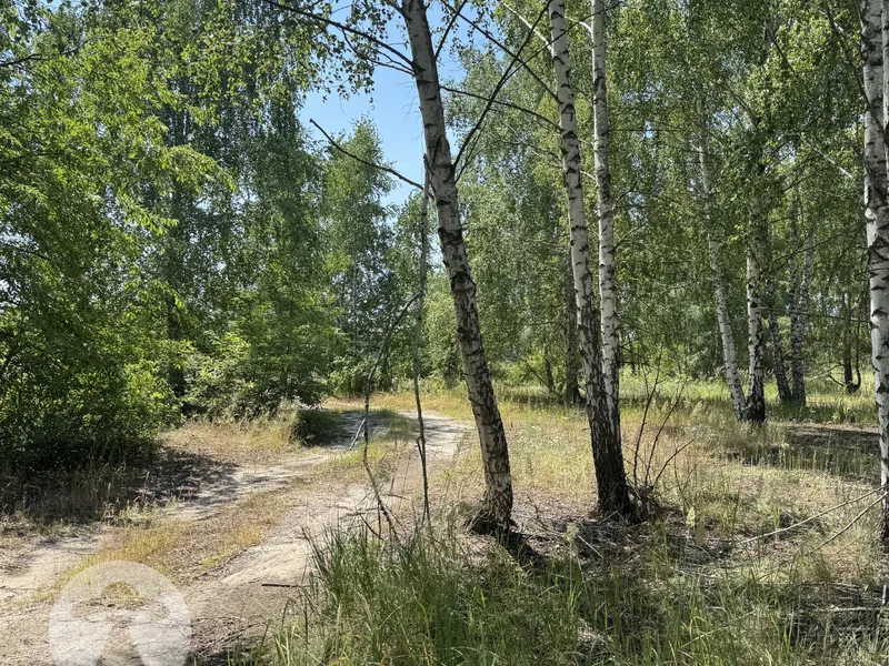 10 соток під будівництво | Куба Дмитрівка | Біля лісу — фото 4 з 7