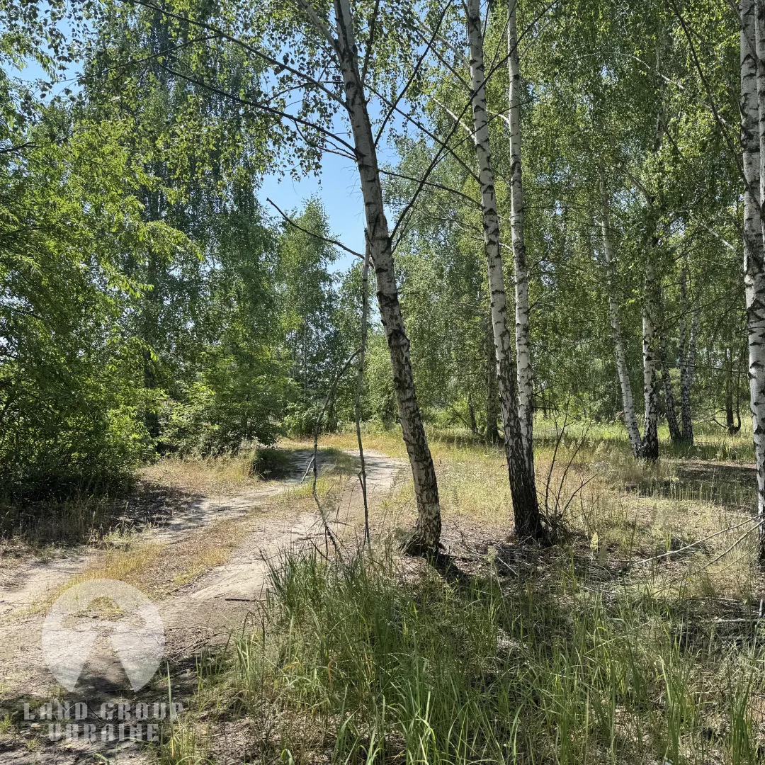 10 соток під будівництво | Куба Дмитрівка | Біля лісу — фото 4 з 7