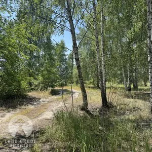 10 соток під будівництво | Куба Дмитрівка | Біля лісу — мініатюра фото 4