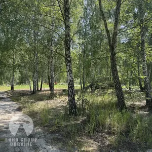 10 соток під будівництво | Куба Дмитрівка | Біля лісу — мініатюра фото 5
