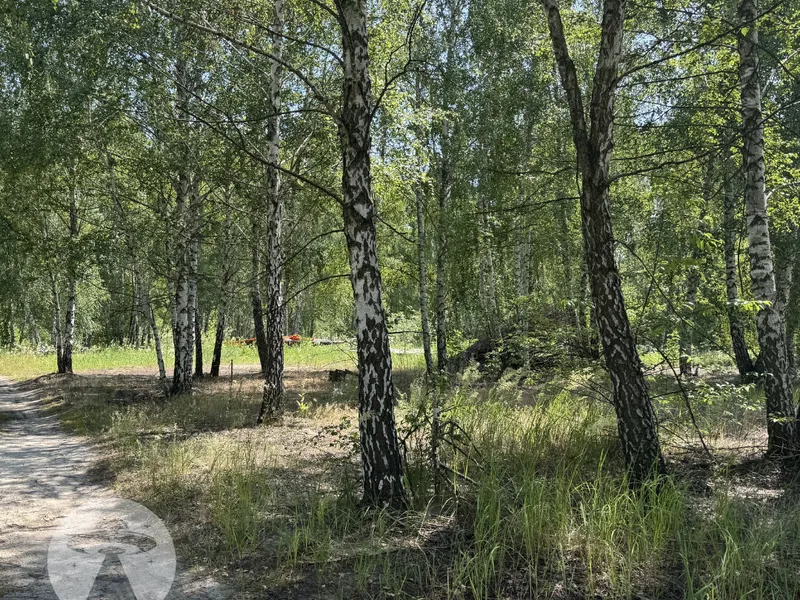 10 соток під будівництво | Куба Дмитрівка | Біля лісу — фото 5 з 7