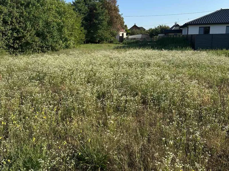 Бориспіль, права сторона міста — фото 4 з 4