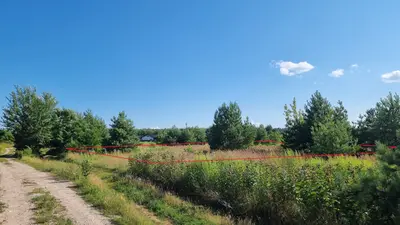 Продаж земельної ділянки під забудову 0.24 га (24 сотки) без будинку — мініатюра фото 2