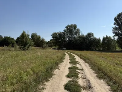 Продаж ділянки 52 сотки БЕЗ % — мініатюра фото 5