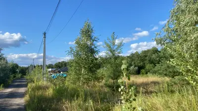 Продаж ділянки 0,2498 Га — мініатюра фото 3