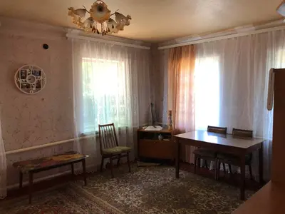 Продаж будинку з приватизованими ділянками — село Велика Северинка, Кропивницький район, Кіровоградська область — мініатюра фото 10