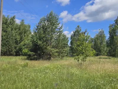 Продаж ділянки під будівництво озеро, інфраструктура, Київ — мініатюра фото 4