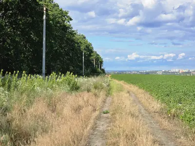 Продаж ділянки в дубраві — мініатюра фото 1