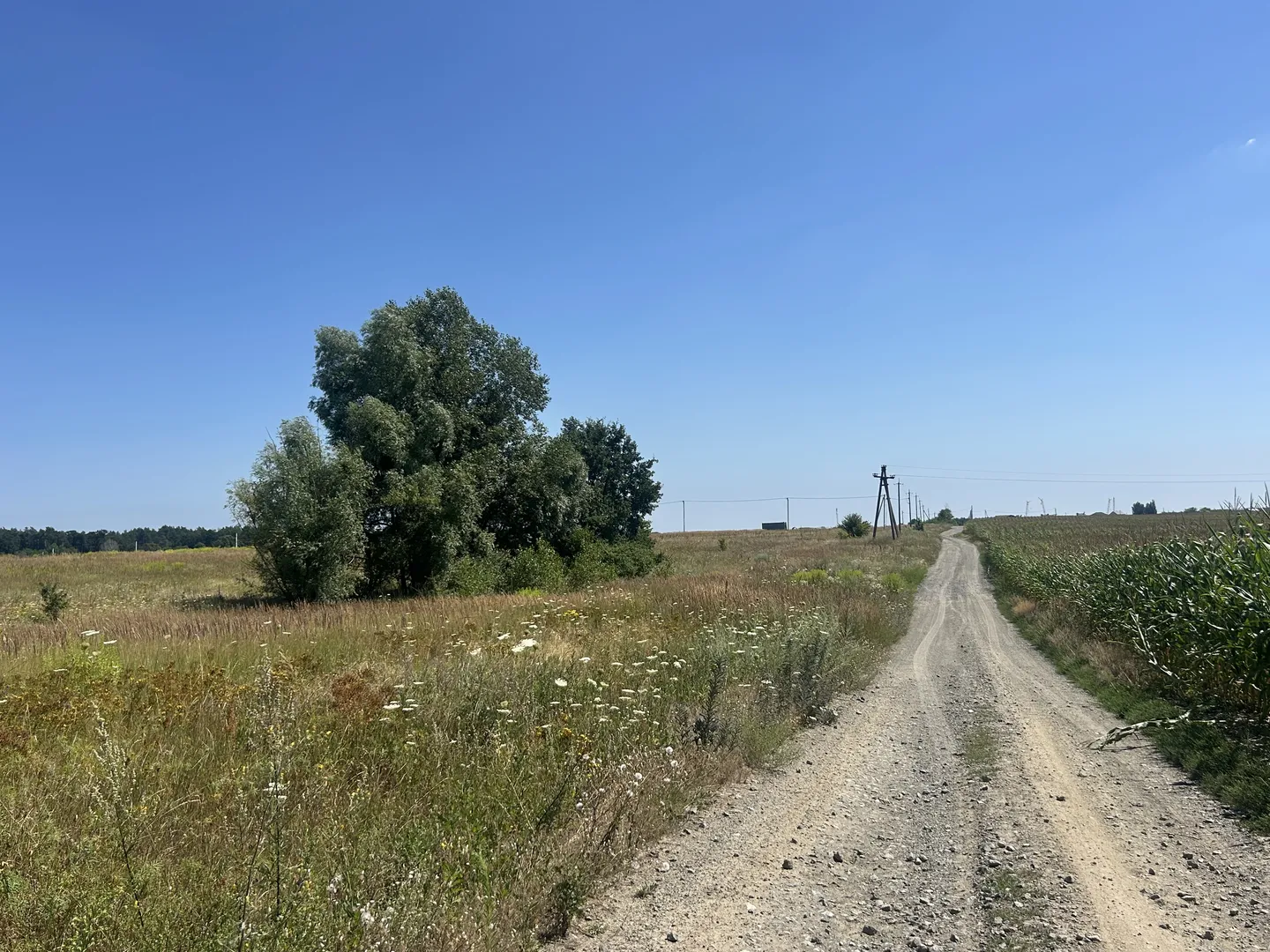 Продаж земельної ділянки, без обмежень на будівництво, мінімальне оформлення, Михайлівка рубежівка — фото 2 з 4