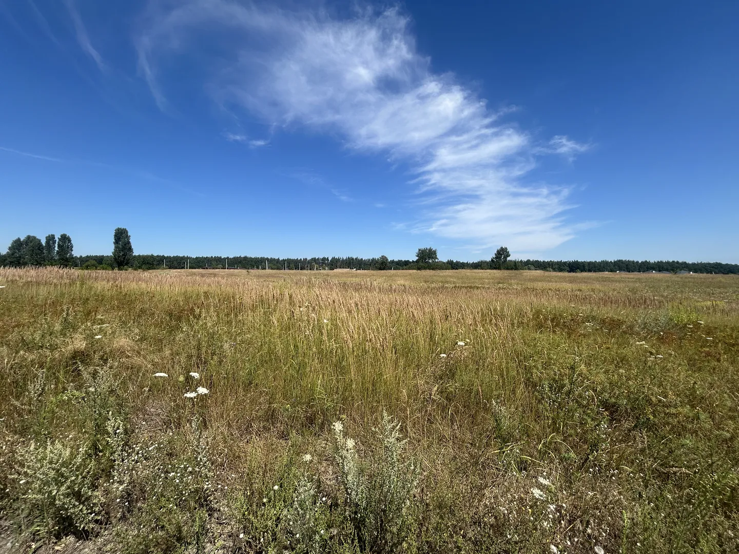 Продаж земельної ділянки, без обмежень на будівництво, мінімальне оформлення, Михайлівка рубежівка — фото 4 з 4