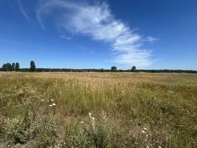Продаж земельної ділянки, без обмежень на будівництво, мінімальне оформлення, Михайлівка рубежівка — мініатюра фото 4