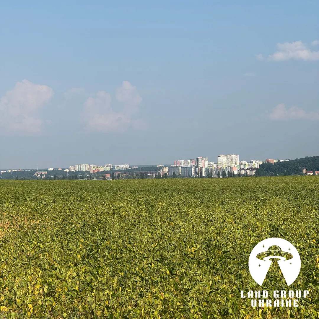 9,7 сотки біля соснового лісу | Михайлівка-Рубежівка | Електрика — фото 4 з 12