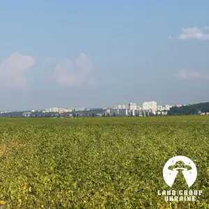 9,7 сотки біля соснового лісу | Михайлівка-Рубежівка | Електрика — мініатюра фото 4