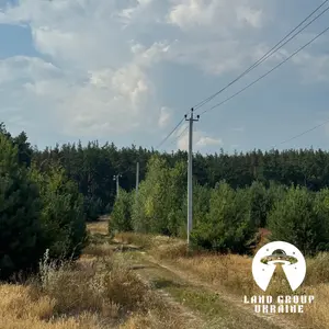 9,7 сотки біля соснового лісу | Михайлівка-Рубежівка | Електрика — мініатюра фото 8
