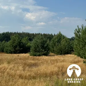 9,7 сотки біля соснового лісу | Михайлівка-Рубежівка | Електрика — мініатюра фото 9
