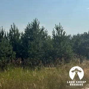 9,7 сотки біля соснового лісу | Михайлівка-Рубежівка | Електрика — мініатюра фото 11
