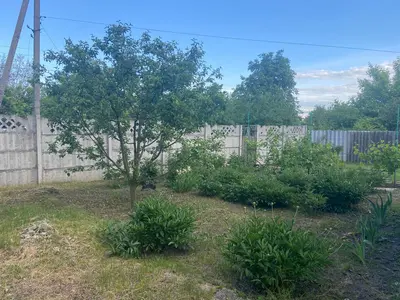 Продаж земельноЇ ділянки під будівництво — мініатюра фото 6
