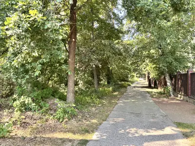продаю 75 сотв с Романків з лісом на ділянці — мініатюра фото 3