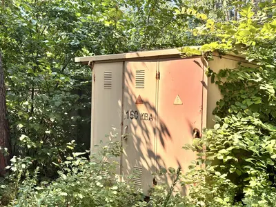 продаю 75 сотв с Романків з лісом на ділянці — мініатюра фото 12