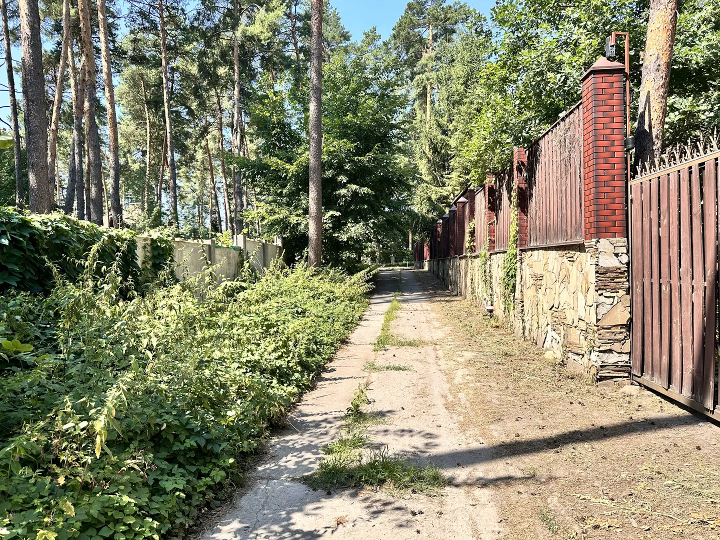продаю 75 сотв с Романків з лісом на ділянці — фото 7 з 13