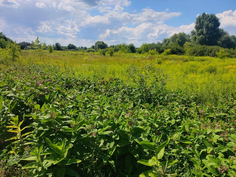Продається земельна ділянка 10 соток у с. Рожни, лише 20 км від Києва! — фото 3 з 6